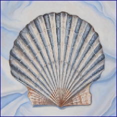 Scallop Triptytch I Med.jpg