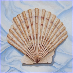 Scallop Triptytch III Med.jpg